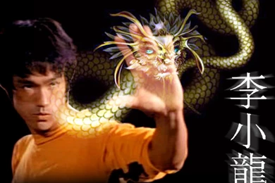 Bruce Lee Wallpapers Bruce Lee Wallpapers 12 Jpg 1024x768