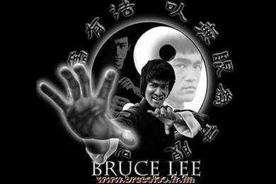 Bruce_lee_027.jpg