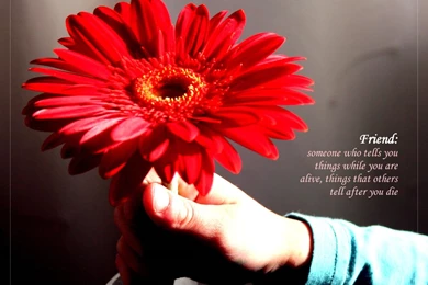 Happy Friendship Day 2012