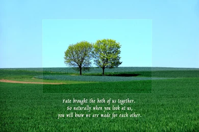 Friendship Wallpapers   Crazy Frankenstein