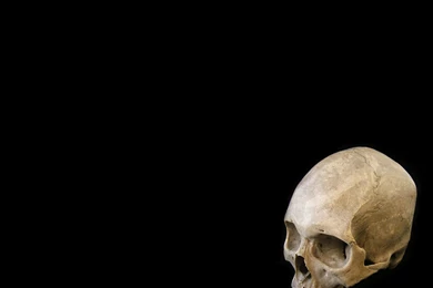 On White Photography