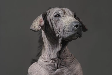 MEMENTO MORI National Geographic Photo Contest 2011 National ...