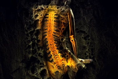 Memento Mori By Lhianne On DeviantArt