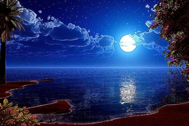 Best Tablet Live Wallpapers