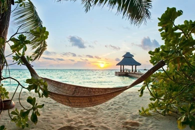 Hammock On Tropical Beach Resort Wallpapers