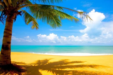 800x600 Wallpapers   Images   Tbwnz.com