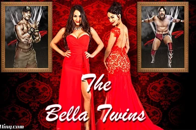 The Bella Twins   Red Carpet Wallpapers By MattQuest On DeviantArt