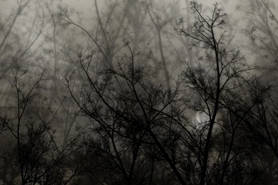 Shine A Light In The Dark   HD Wallpapers Widescreen   1366x768