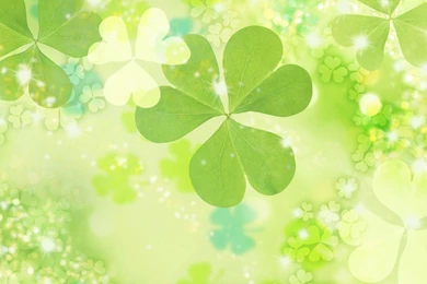 Four Leaf Clover Wallpapers   Wallpapers Cave