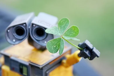 Wall E Four Leaf Clover Wallpapers   HD Wallpapers.org