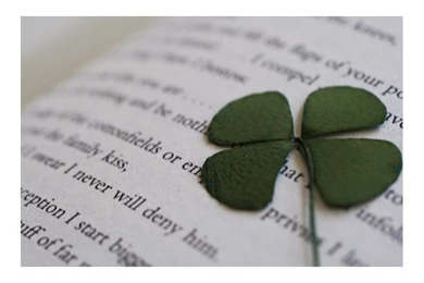 Four Leaf Clover By Humminggirl On DeviantArt