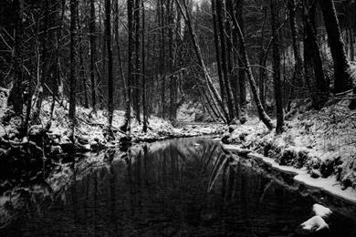 Vintage Winter HTC Flyer Wallpapers