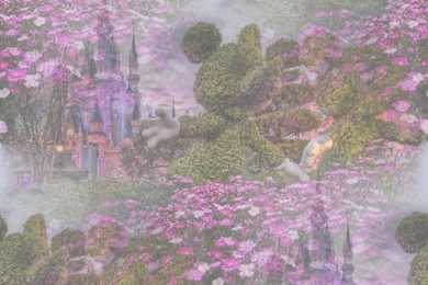 Disney Castles > Walt Disney Resorts > Wallpapers & Backgrounds