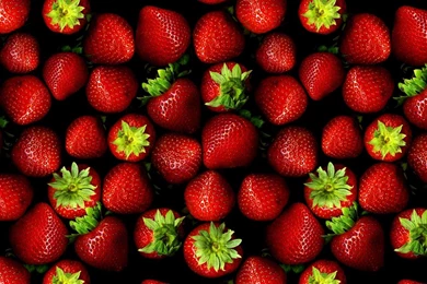High Quality Strawberry Wallpapers   HD Wallpapers