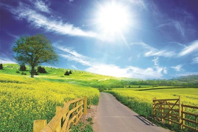 Free Download Wallpapers For PC High Resolution,desktop Wallpapers