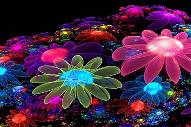 Colorful Wallpapers   Android Apps On Google Play