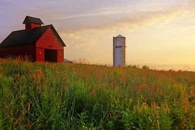 41 Barn HD Wallpapers