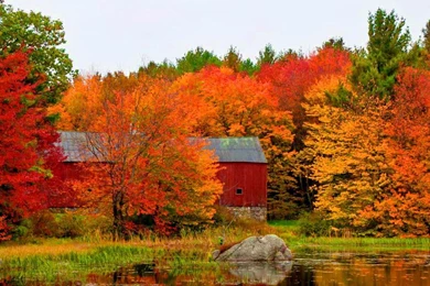 Fall Barn Wallpapers   (