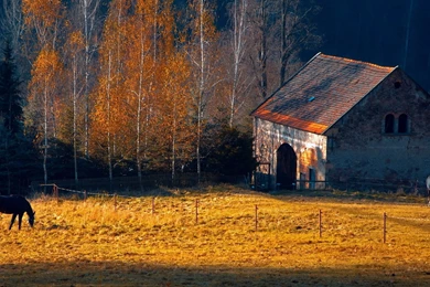 Horses Rustic Farm Barn Landscapes Buildings Autumn Fall Trees ...