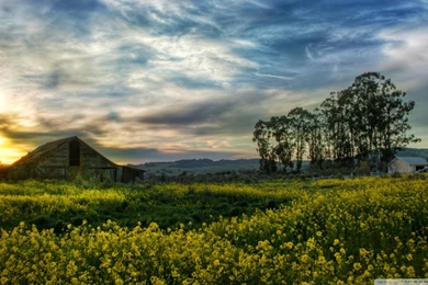 Wondrous Sunset Over Old Barn >> HD Wallpaper, Get It Now!