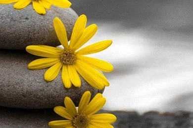 Wallpapers Iphone 6 Plus Surfer 5 5 Inches   1080 X 1920   Iphone 6 ...