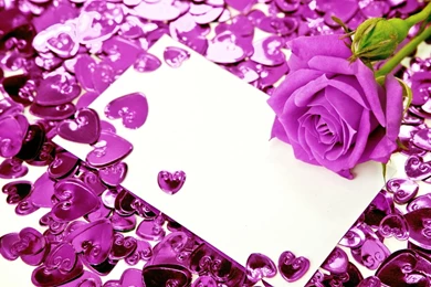 Rose Hearts >> HD Wallpaper, Get It Now!