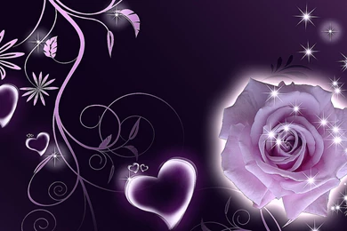 Purple Hearts Wallpapers   3 Items