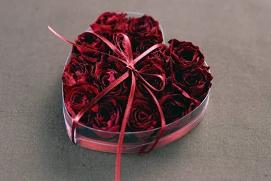 Love Roses And Hearts Wallpapers 2014 HD