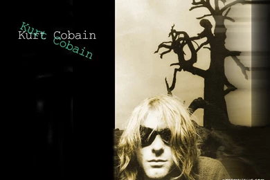 Nirvana 1024x768 High Resolution Wallpapers