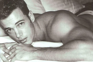 William Levy Photo, Pics, Wallpapers   Photo