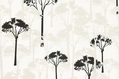 Athena   Trees Wallpaper, Black, White   Contemporary   Wallpapers ...