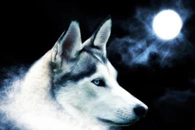 Good Wallpapers Collection (28+)