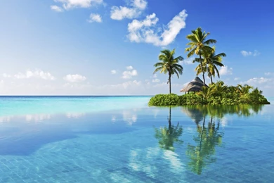 A Good Name For This Landscape Please   (