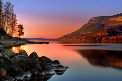 Beautiful Wallpapers For Android