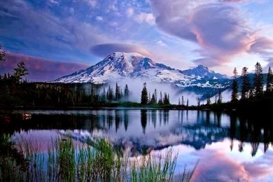 Most Beautiful And High Quality Wallpapers For Android