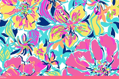 An Unofficial Collection Of Lilly Pulitzer Prints
