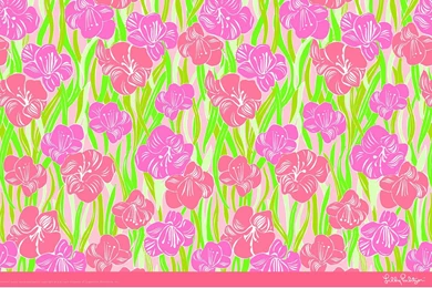 Glady, Lillypulitzer (