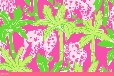 Lilly Pulitzer Backgrounds Wallpapers