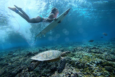 Surfing Wallpaper, Sport: Surfing, Girl, Duck Dive, Sea, Underwater