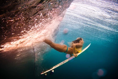 Dive Surf Girl Wallpapers HD. Free Desktop Backgrounds 2016 In ...