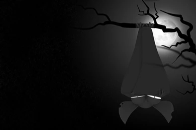 Bat HD Wallpapers   HD Wallpaper Backgrounds Of Your Choice