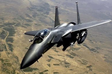 Eagle F15