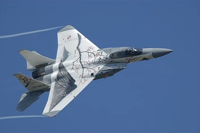 Aircrafts,F 15 Eagle Aircrafts F15 Eagle 1372x900 Wallpapers ...