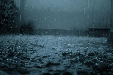 Rain Live Wallpapers   Android Apps On Google Play
