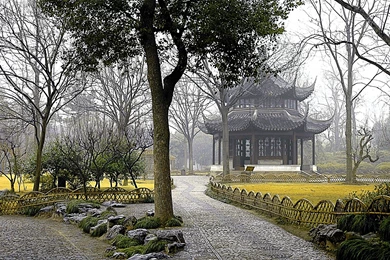 Other: Morning Dew Beauty Cool Breezing Awesome Desktop Backgrounds ...