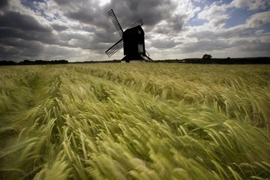 Irish, Road, Scenery, Wallpaper, Nature (