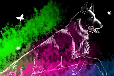 Rifle Dog Desktop Wallpapers By ForgottenAmnesty On DeviantArt