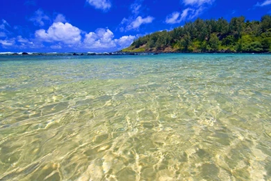 YouWall   Clean Water Wallpapers   Wallpaper,wallpapers,free ...