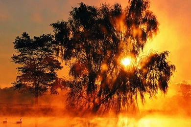 Desktop Backgrounds Sunset Wallpapers Model Super Computer ...