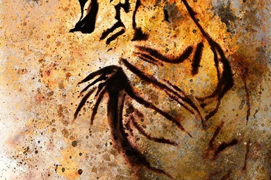 Tiger Collage On Color Abstract Backgrounds Rust Structure Wildlife ...